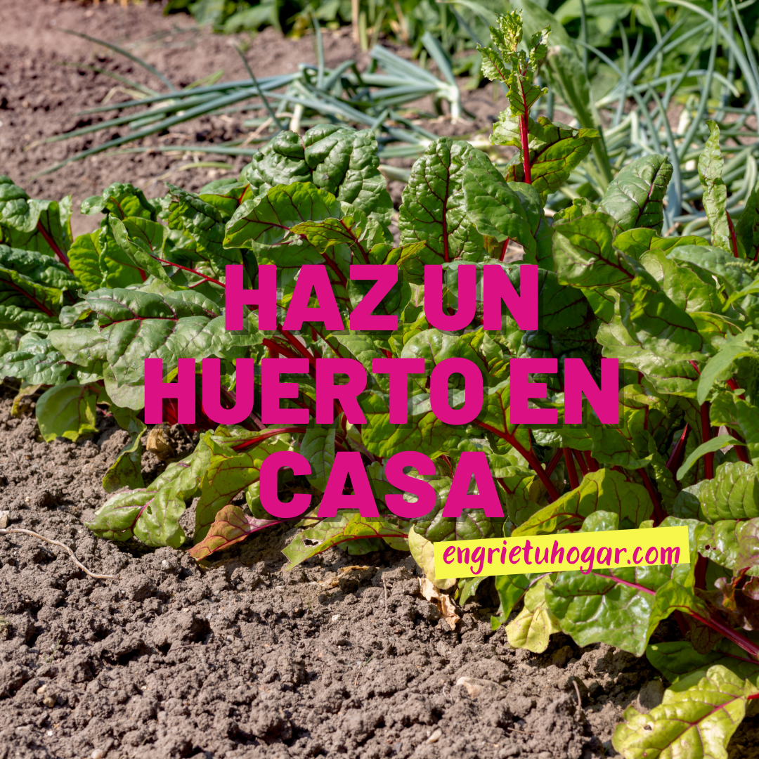 Haz un huerto en casa